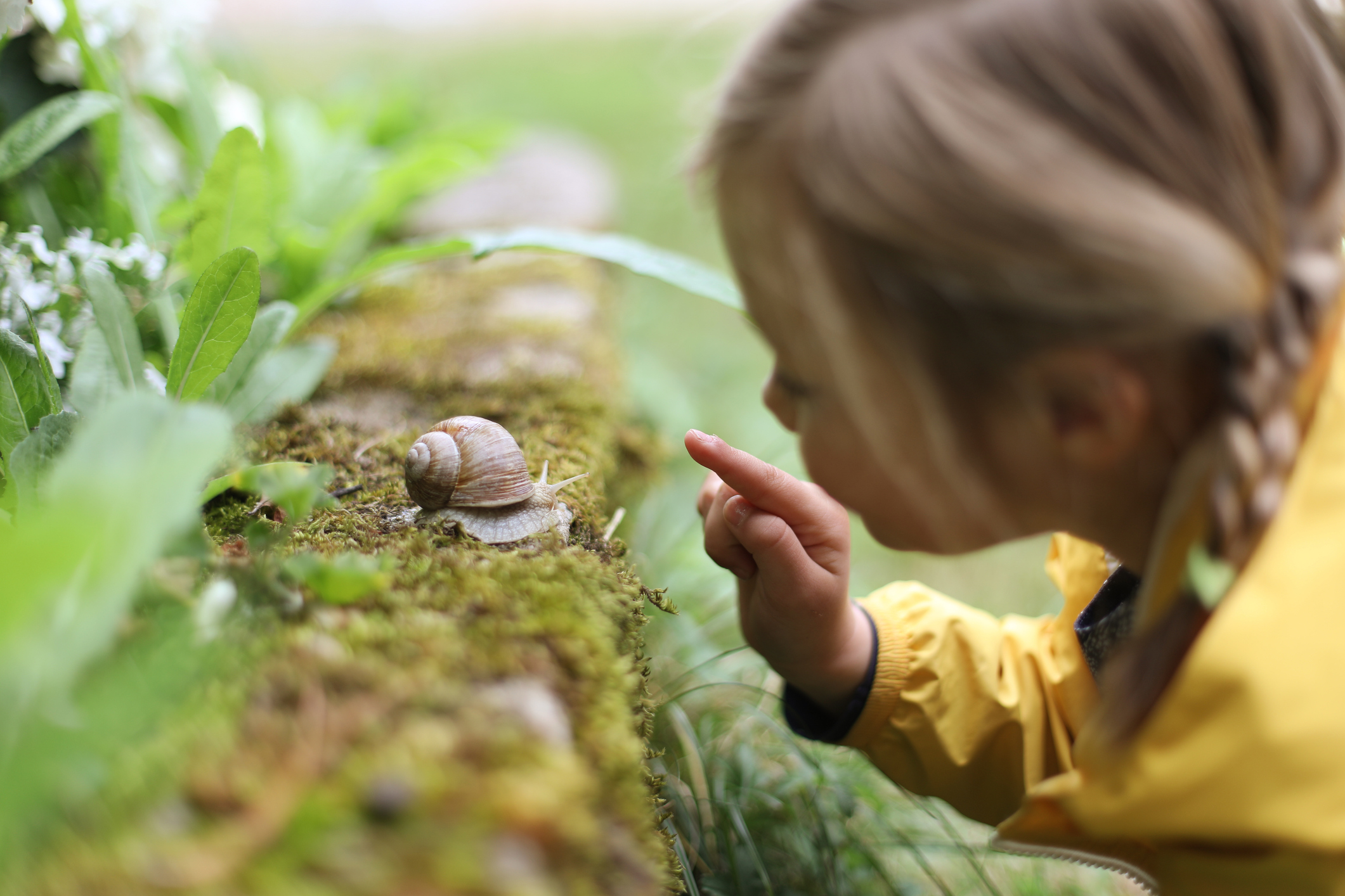 En flicka i närbold som pekar och tittar på en snigel i trädgårdslandet.